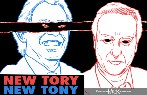 New_Tory_Conservatives