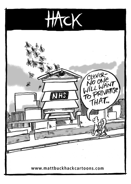 NHS, Cartoon, privatisation, Matt Buck hack Cartoons, Hampshire Chronicle