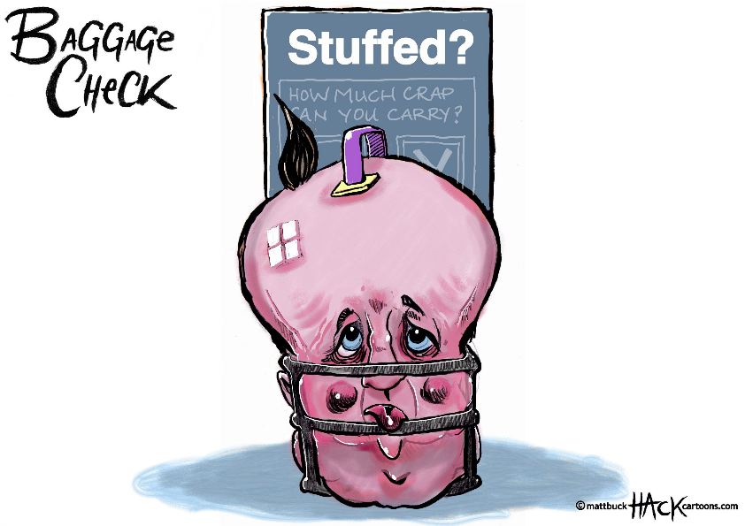 TR_ED_Cameron_baggage_allowance_29_05_15_©_Matt_Buck_hack_Cartoons